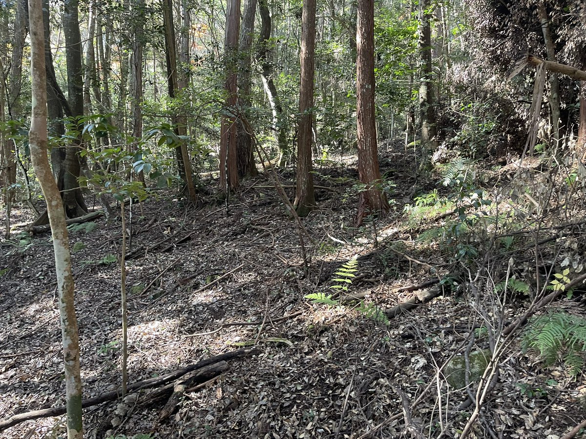 キセルガイって 何処に居るんだろう？