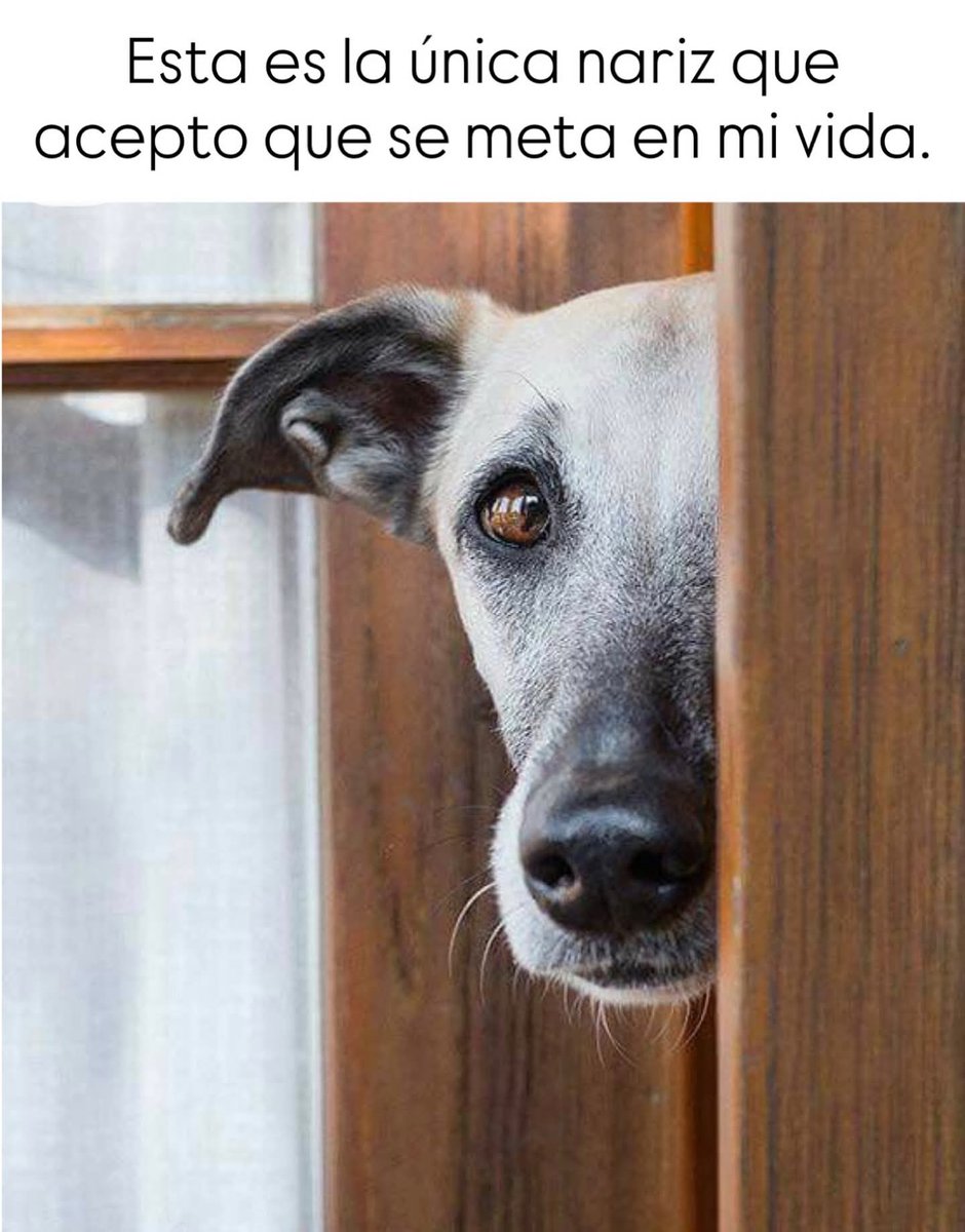 Sabueson (@sabueson) on Twitter photo 