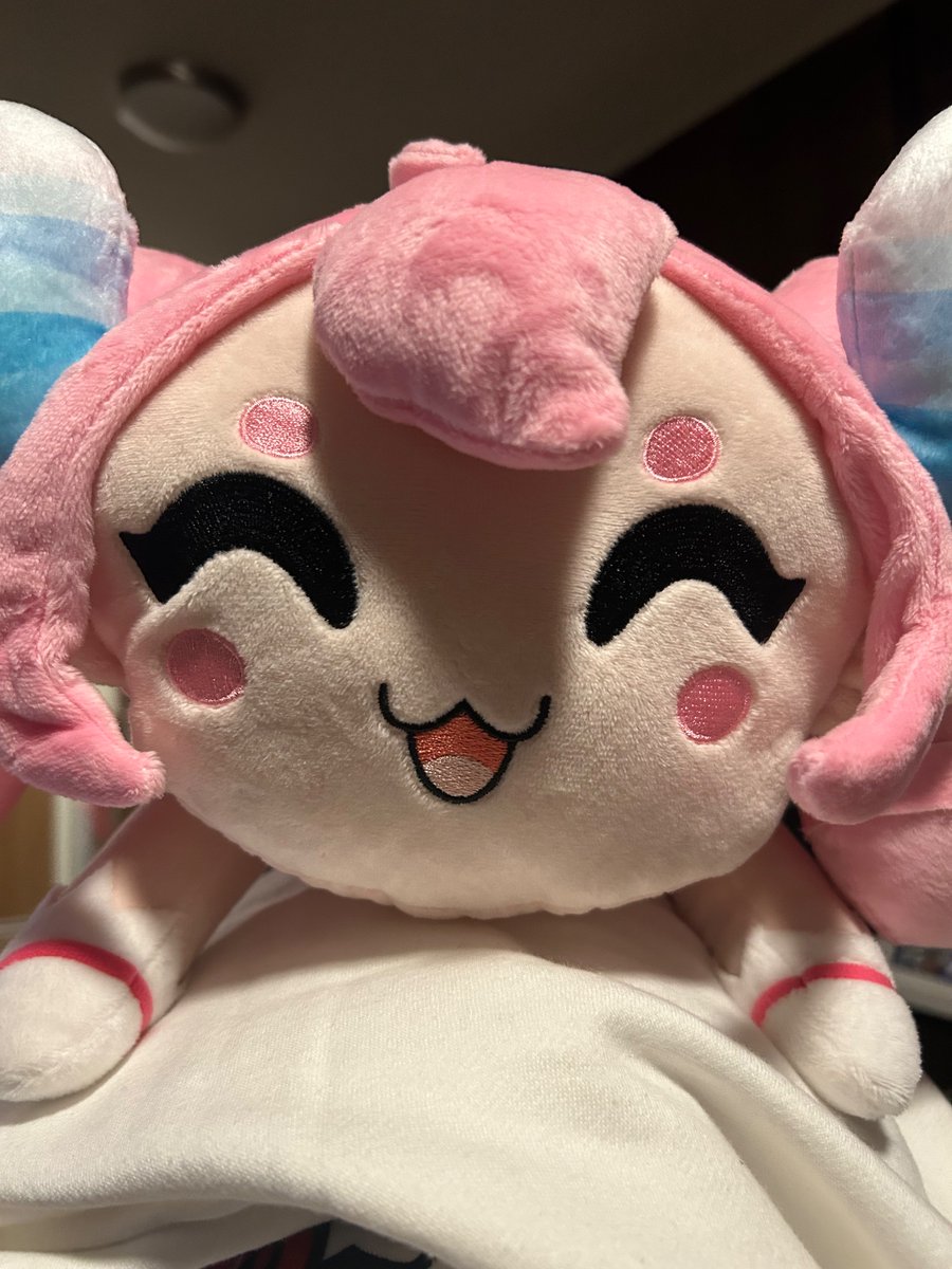 My chibidoki plush arrived finally! She shall be keeping me company in my bedrest from my sore throat