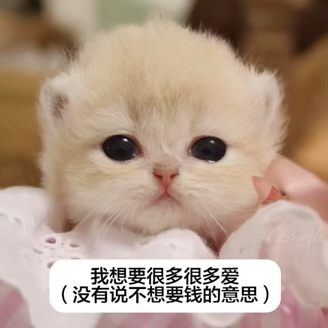 福利姬宅宅狗分享的黄推图片1 - 网红私拍内容