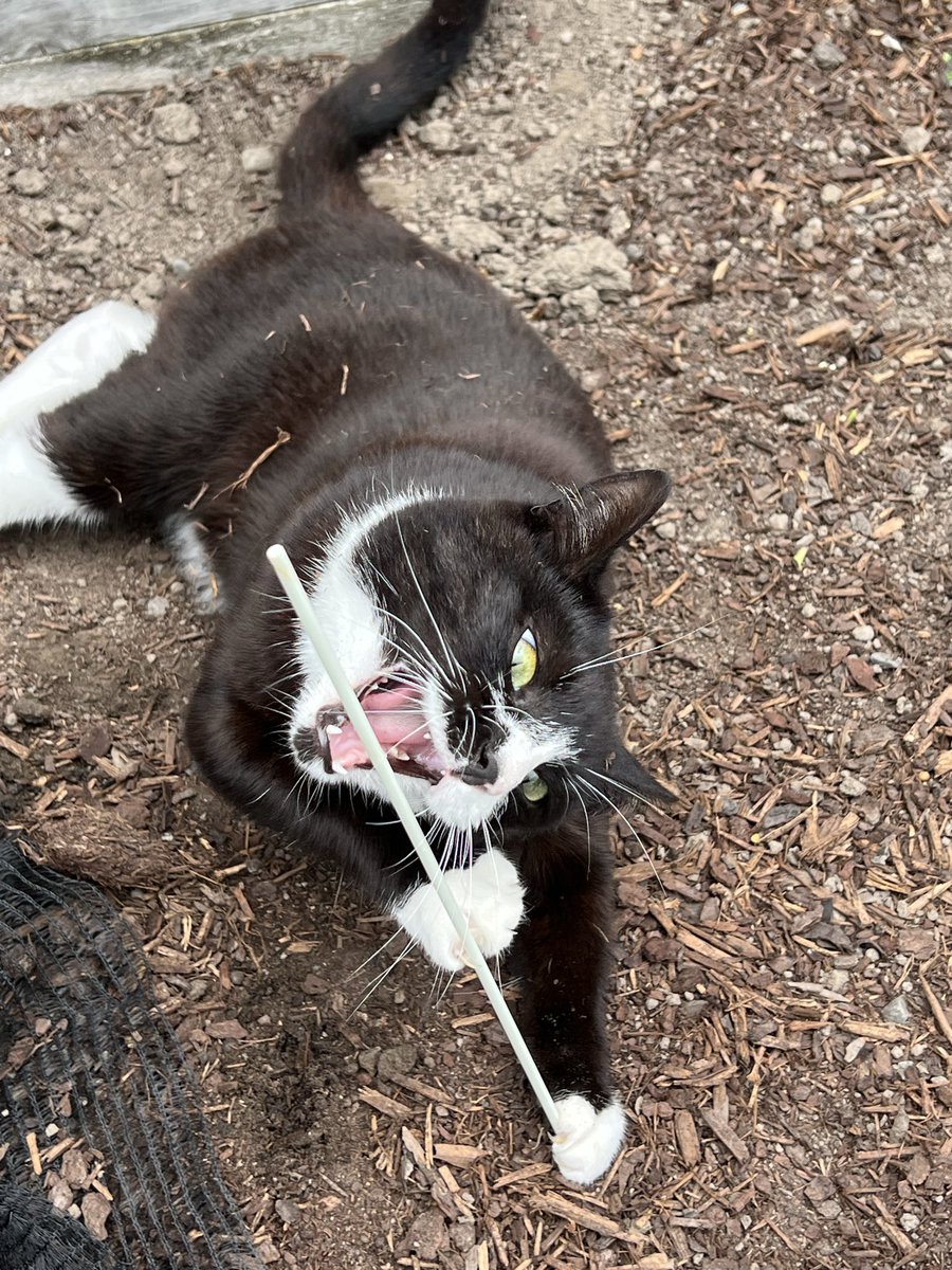 I guess I’m late getting dinner