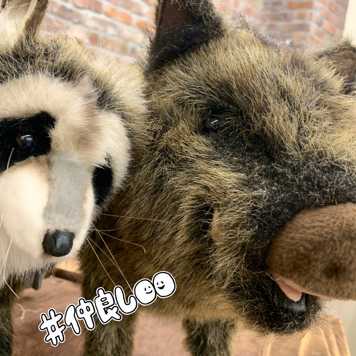 dmdesignjp's tweet image. おはようございます(もうすぐ11時)
本日二日目です
エルフ＆ドワーフ企画展のディスプレイに少し手を加えました
よろしくー
#トレファン
#トレファン6
#きき屋
#LarpLuswear