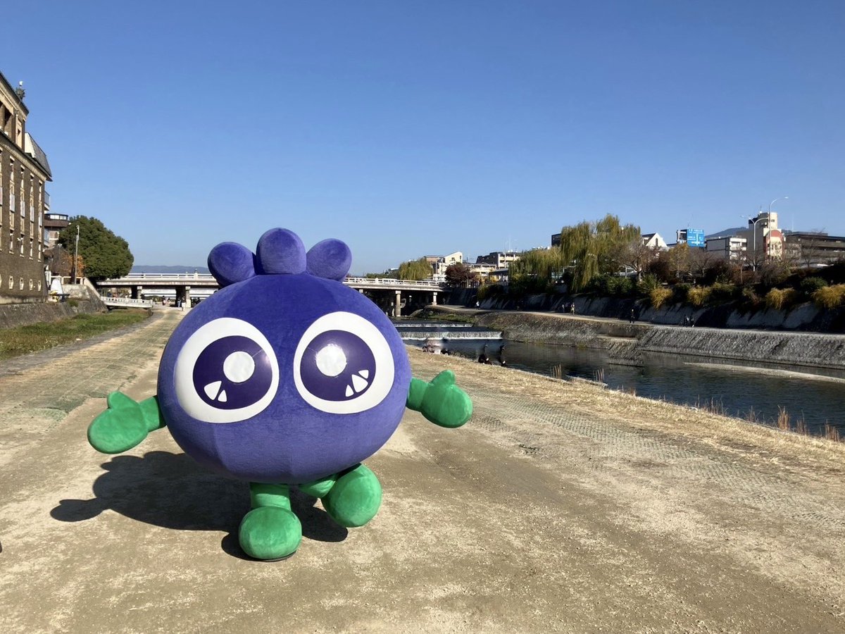 こっこちゃん🍛🐥🎀 (@skm_cocco) / Posts / X