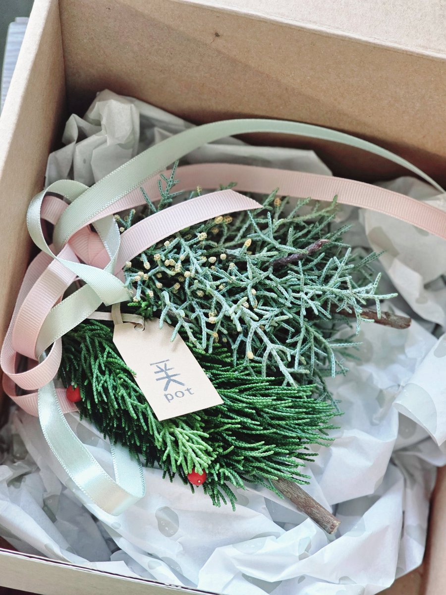 plant_objet_tip's tweet photo. 다시 봐도 너무 예쁘네,, 쁘띠트리🎄➰
지금 구매하시면 내년 초까지 초록을 즐기실 수 있습니다. https://t.co/hGlpjG90pl