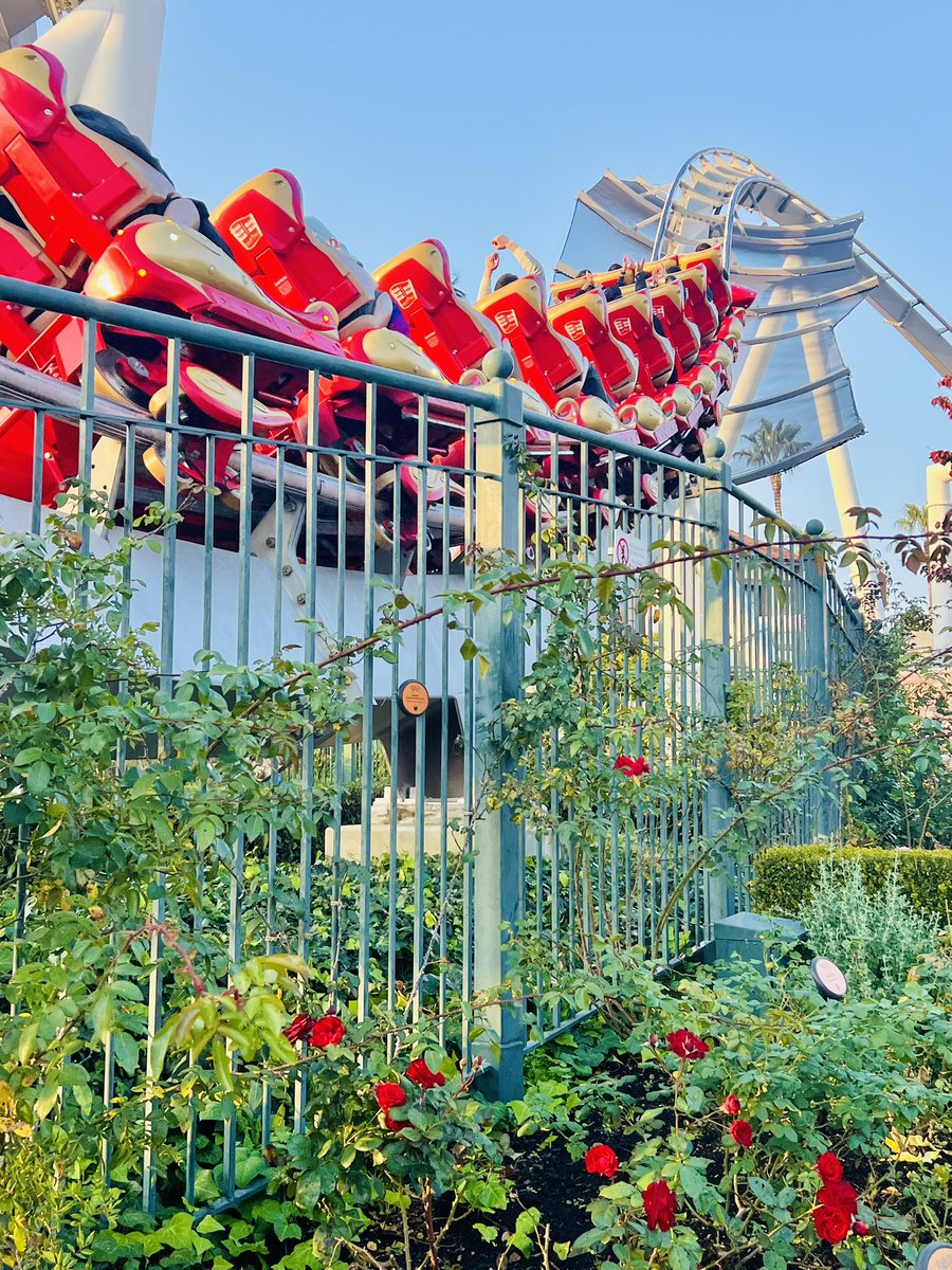 kohimangetsupon's tweet image. おはようございます
素敵な一日を✨
#USJ #USJファン