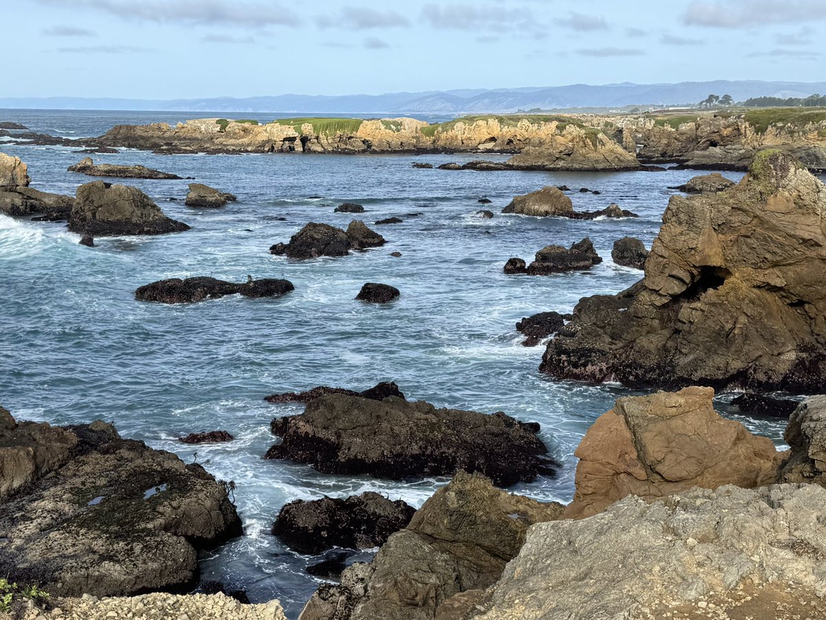 MappingThePath's tweet image. Nice walk along the coastal trail south of Glass Beach in Fort Bragg, California, today #travel