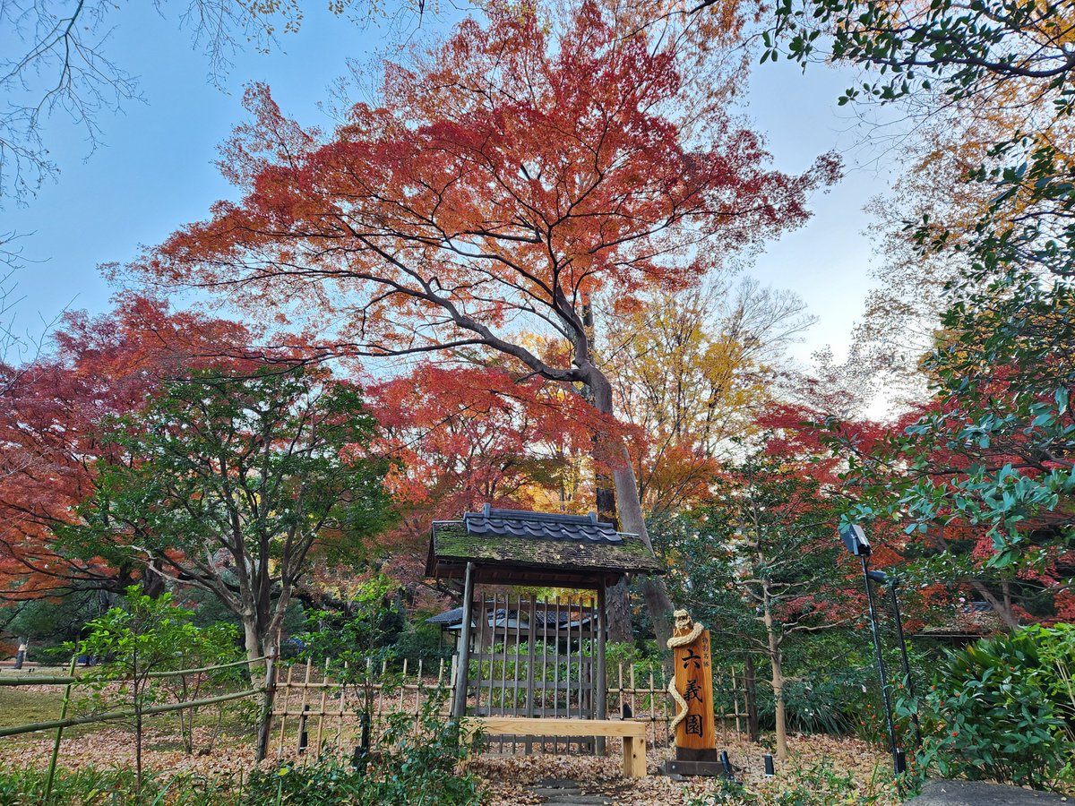 貴重資料 中国美術【支那古陶瓷】大谷光瑞・陶雅会☆昭和7年