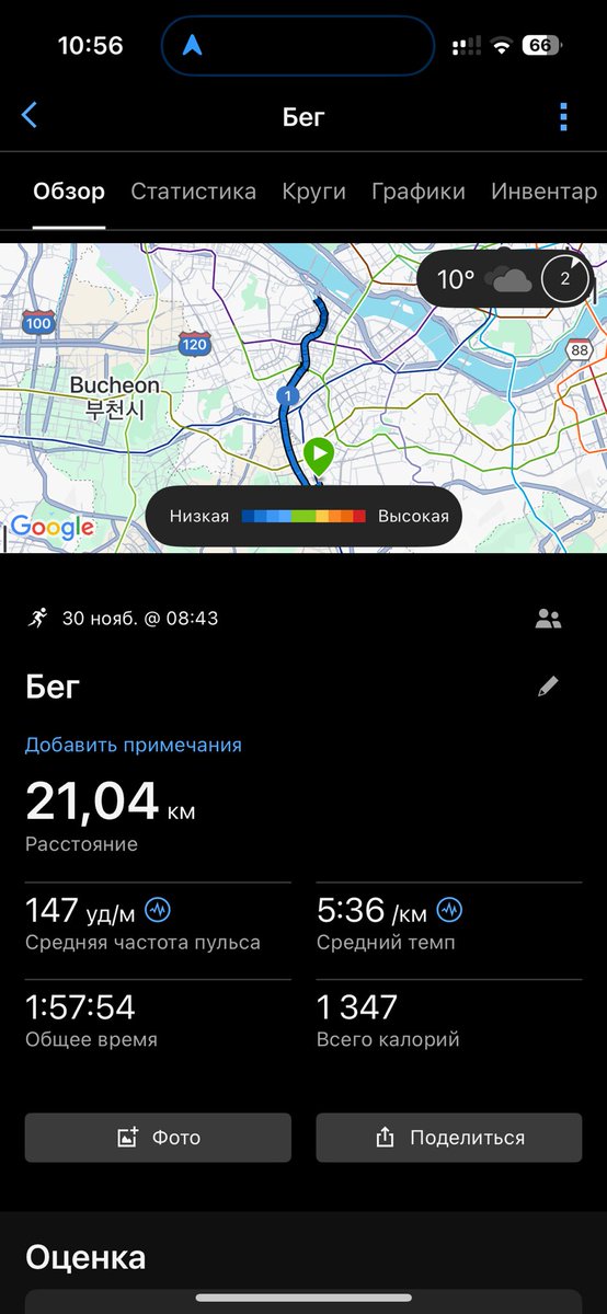 попугай кешью tweet media