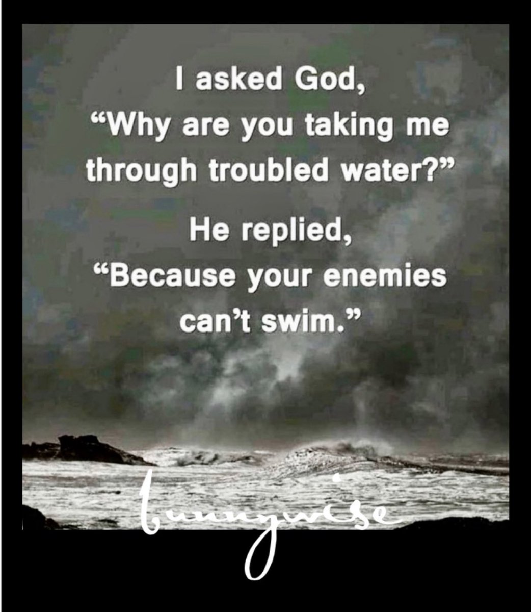 bunnywise1223's tweet image. ✨

               good night, my loverlies 

        this was such an amazing day 
                          in every way
                   that a day could be 

   looking forward to another beautiful 
          day tomorrow .. because I am    
 smart enough to know that…