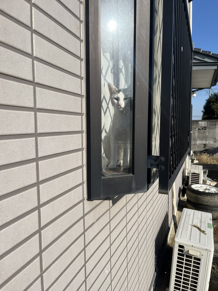 朝からN BOXのボルト交換で🐈