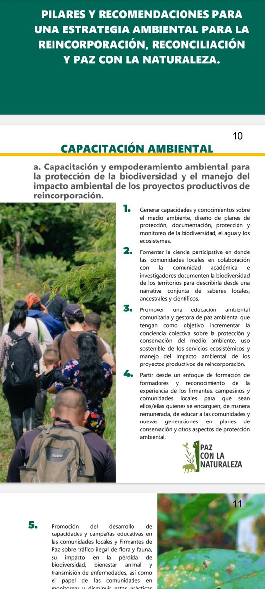 PeaceWNature's tweet image. Hoy lanzamos la estrategia #ambiental de los #firmantesdepaz 
Un hecho histórico que refleja el crecimiento cualitativo de estas comunidades al definir sus hojas de ruta para el presente y el futuro 🌱
¡Felicitaciones a todos los protagonistas de este logro! 👏👏 #biodiversidad