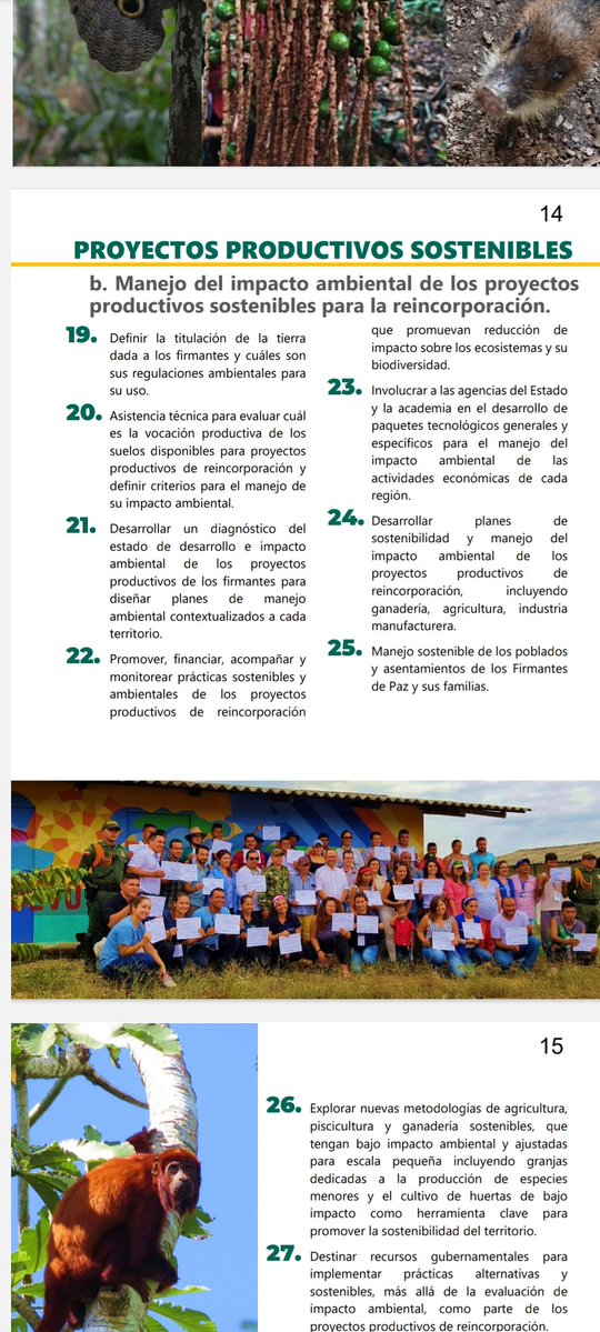 PeaceWNature's tweet image. Hoy lanzamos la estrategia #ambiental de los #firmantesdepaz 
Un hecho histórico que refleja el crecimiento cualitativo de estas comunidades al definir sus hojas de ruta para el presente y el futuro 🌱
¡Felicitaciones a todos los protagonistas de este logro! 👏👏 #biodiversidad
