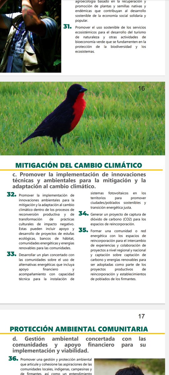 PeaceWNature's tweet image. Hoy lanzamos la estrategia #ambiental de los #firmantesdepaz 
Un hecho histórico que refleja el crecimiento cualitativo de estas comunidades al definir sus hojas de ruta para el presente y el futuro 🌱
¡Felicitaciones a todos los protagonistas de este logro! 👏👏 #biodiversidad