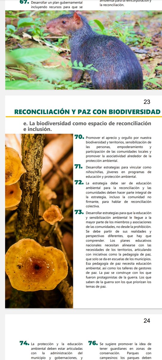 PeaceWNature's tweet image. Hoy lanzamos la estrategia #ambiental de los #firmantesdepaz 
Un hecho histórico que refleja el crecimiento cualitativo de estas comunidades al definir sus hojas de ruta para el presente y el futuro 🌱
¡Felicitaciones a todos los protagonistas de este logro! 👏👏 #biodiversidad