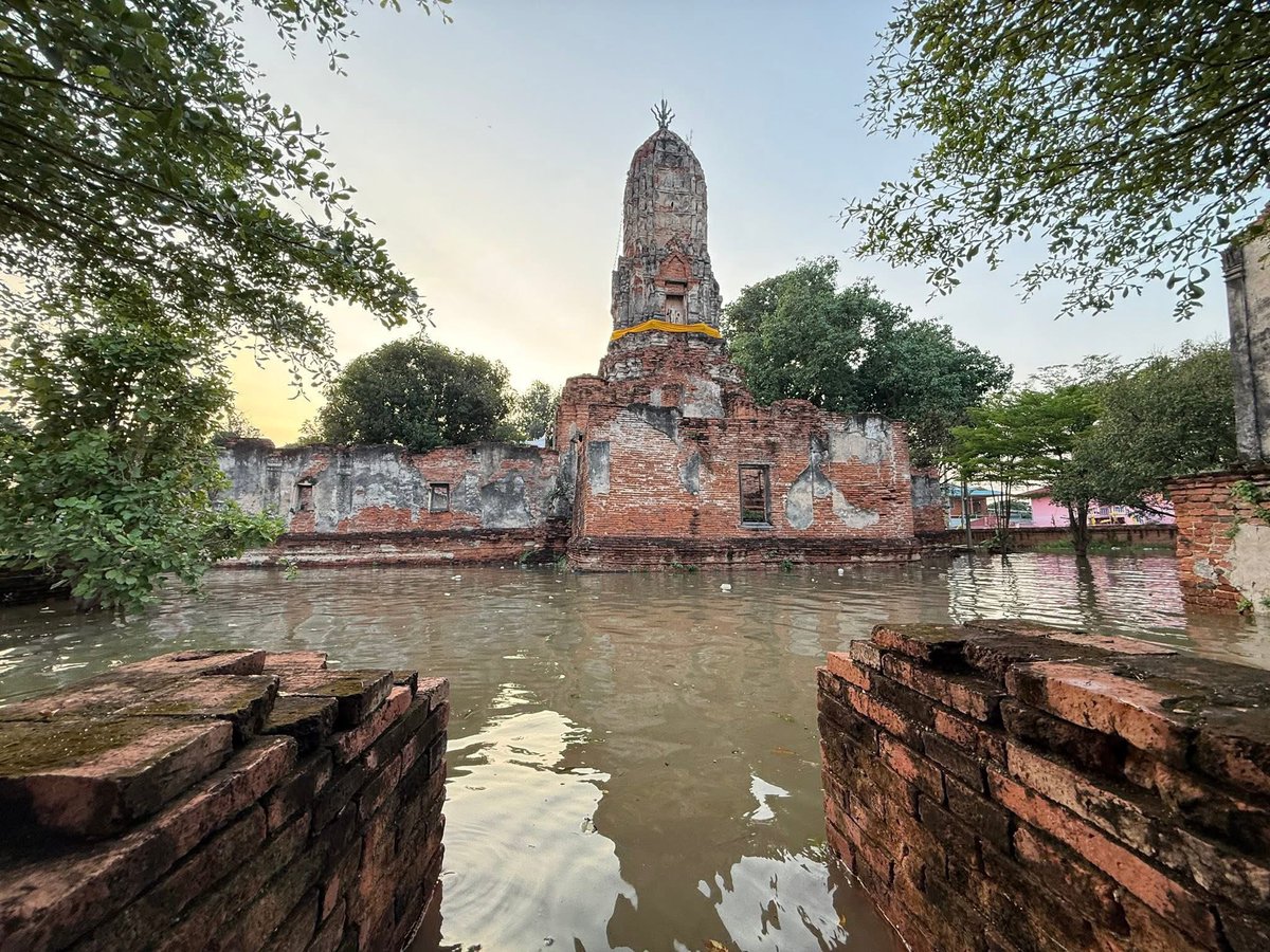 youngmo131's tweet image. อยุธยาวันนี้ยังคงน้ำท่วมขังอยู่นะคะ ชุมชนต่างๆได้รับความเดือร้อง น้ำนิ่งไม่มีทางระบายมีแต่ปล่อยน้ำในเขื่อนทุกวัน น้ำเน่า เหม็น สัตว์เลื้อยคลานอีก รัฐบาลเห็นยังน่อออ

 #น้ําท่วมอยุธยา