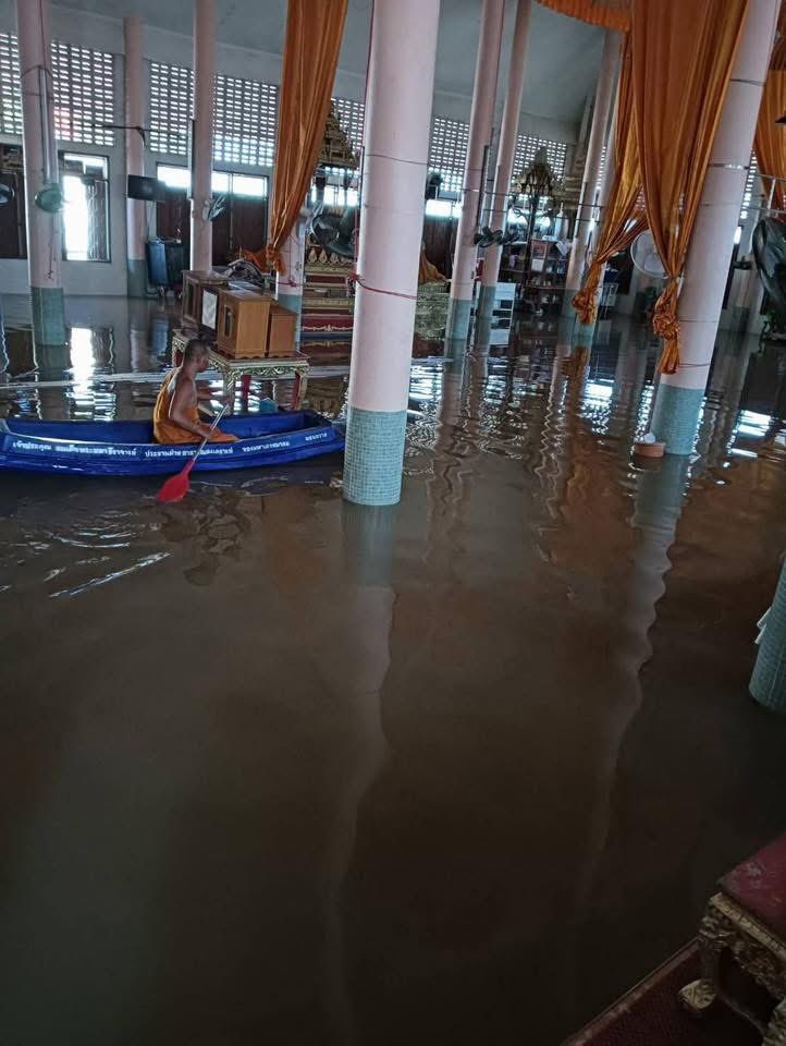 youngmo131's tweet image. อยุธยาวันนี้ยังคงน้ำท่วมขังอยู่นะคะ ชุมชนต่างๆได้รับความเดือร้อง น้ำนิ่งไม่มีทางระบายมีแต่ปล่อยน้ำในเขื่อนทุกวัน น้ำเน่า เหม็น สัตว์เลื้อยคลานอีก รัฐบาลเห็นยังน่อออ

 #น้ําท่วมอยุธยา