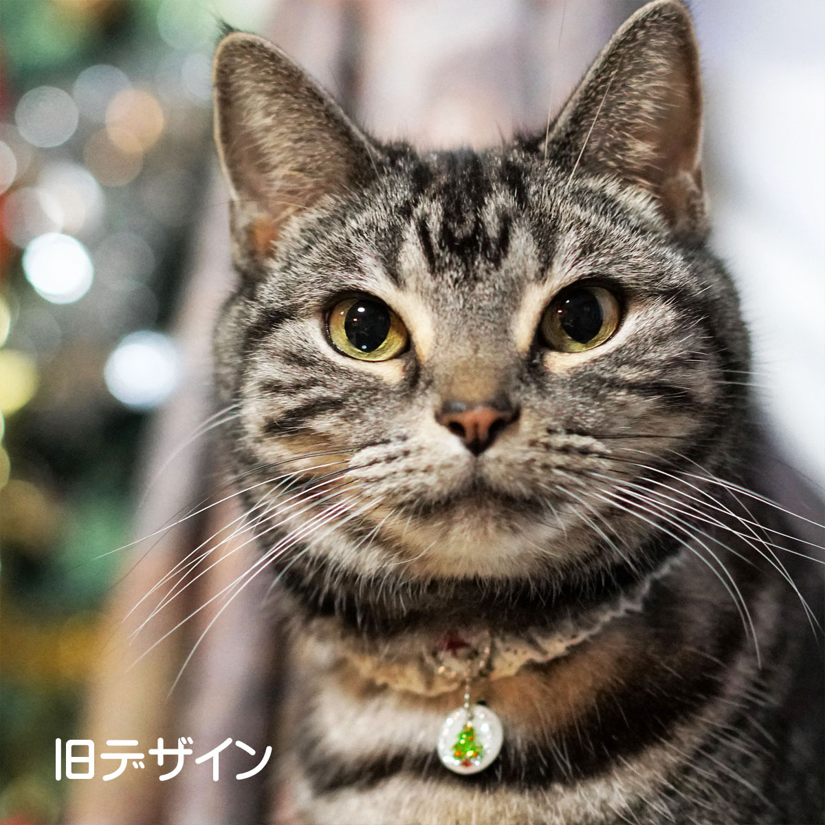 にゃん太通販+にゃっ展+にゃんにゃんBOX+猫十字 (@nyantashop) / Posts / X にゃん太通販+にゃっ展+にゃんにゃんBOX+猫十字 (@nyantashop) / Posts / X