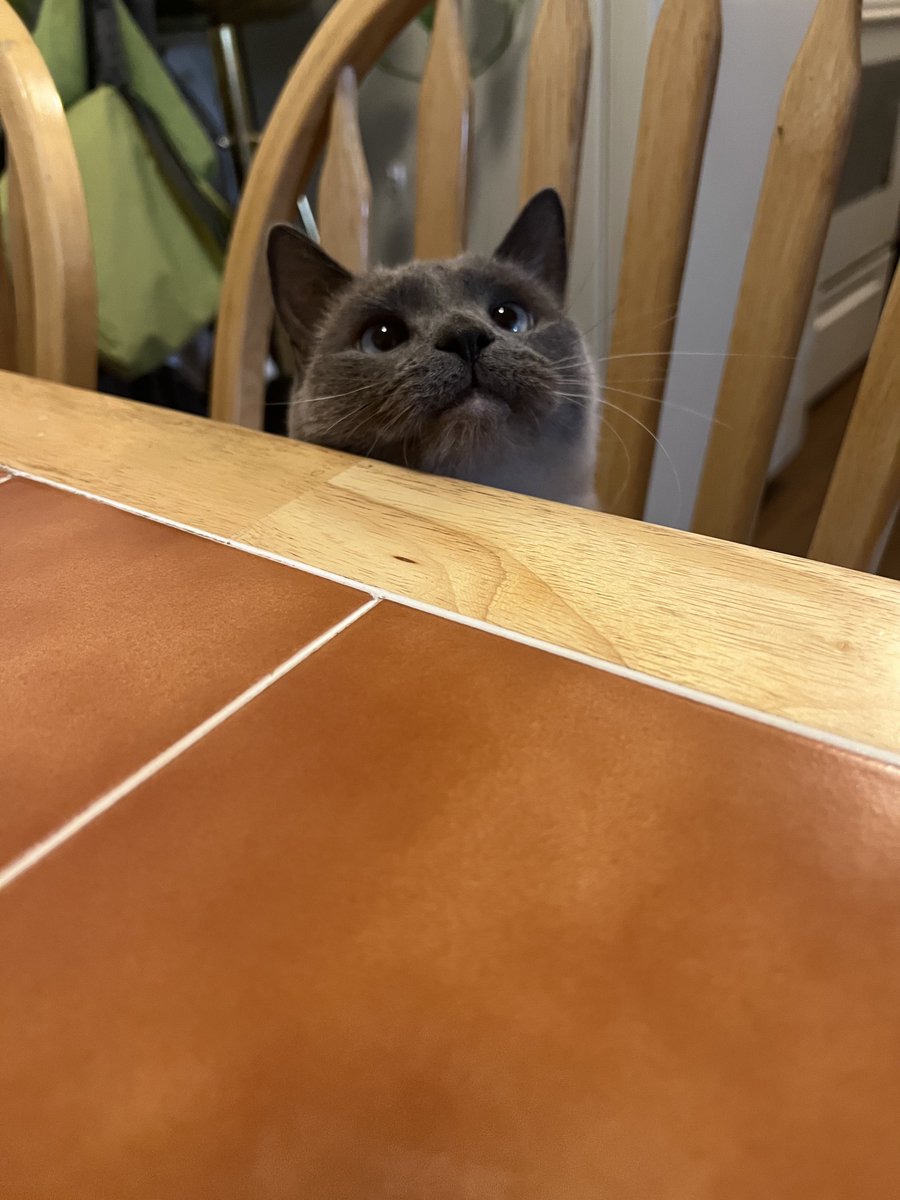 whynotnette's tweet photo. https://t.co/2z1bk4b6s6