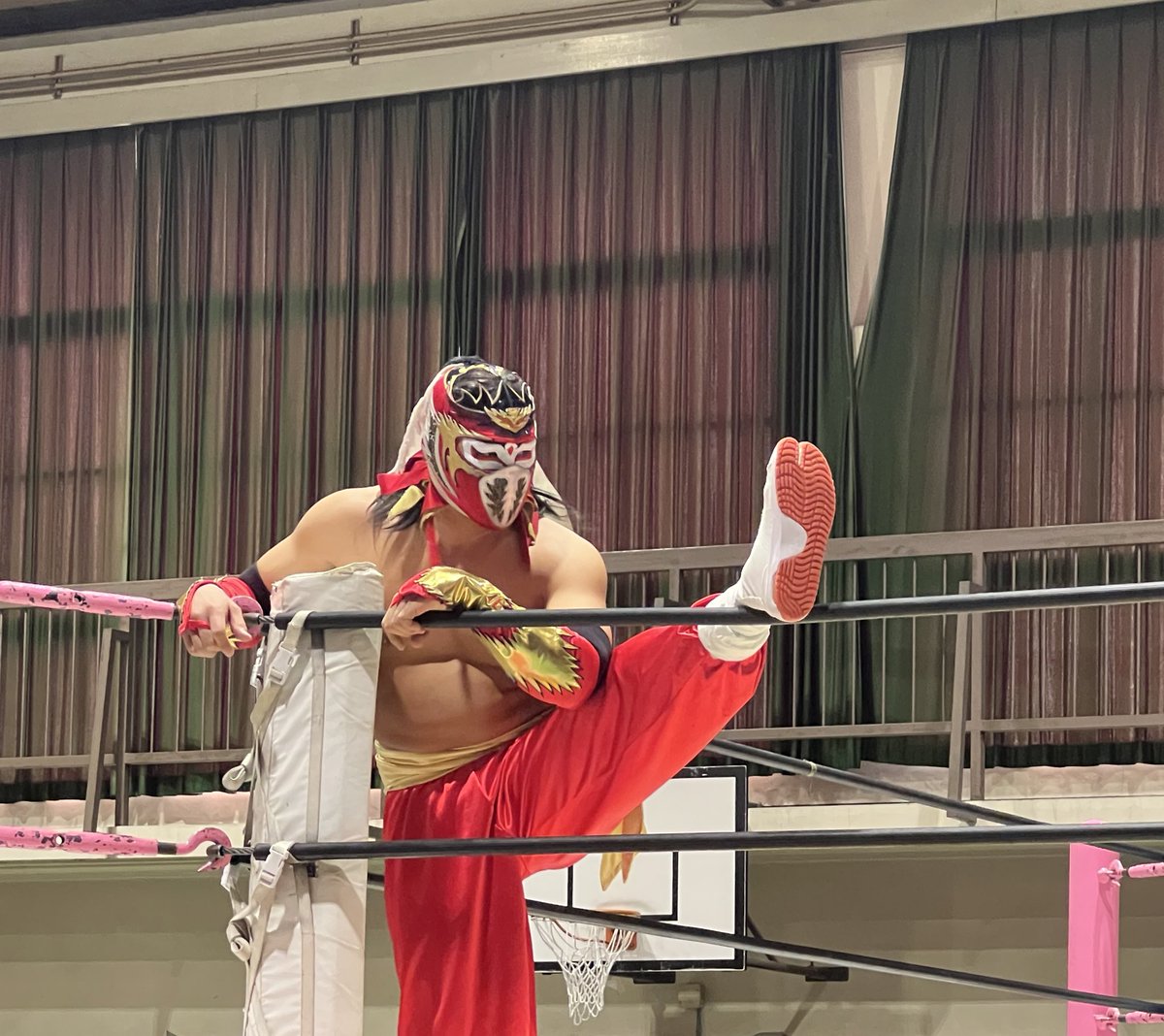 Cg4ueBgYOsI1T53's tweet image. ハヤブサ‼️

初代を知っている人には更に感動😭
知らない人には魅力的なハヤブサに感動😭
リングの上に立っているのは、初代、2代目でもない正真正銘ハヤブサ‼️
もっともっと試合がみたい‼️

お楽しみはこれからだ〜
#ハヤブサ
#pwzero1
#大阪プロレス