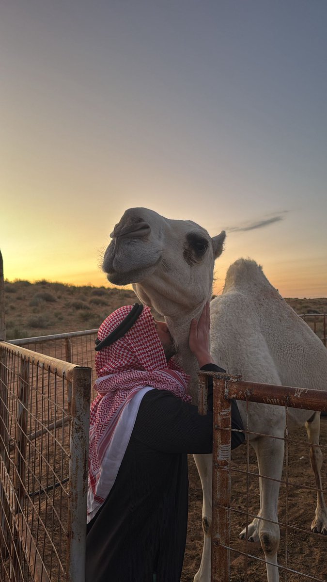 Sheikh Fatih😘🐪