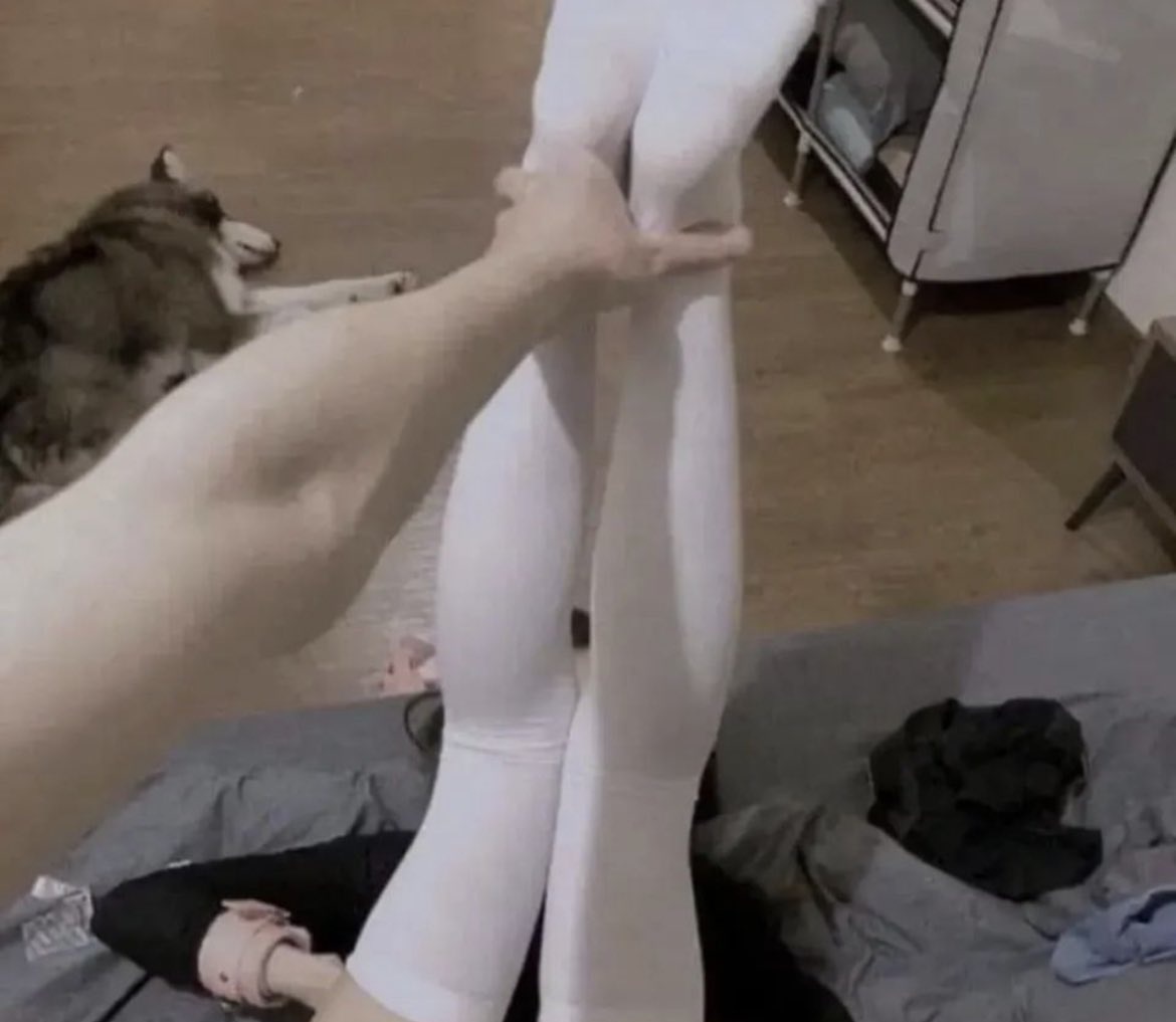 whotfbee's tweet image. 