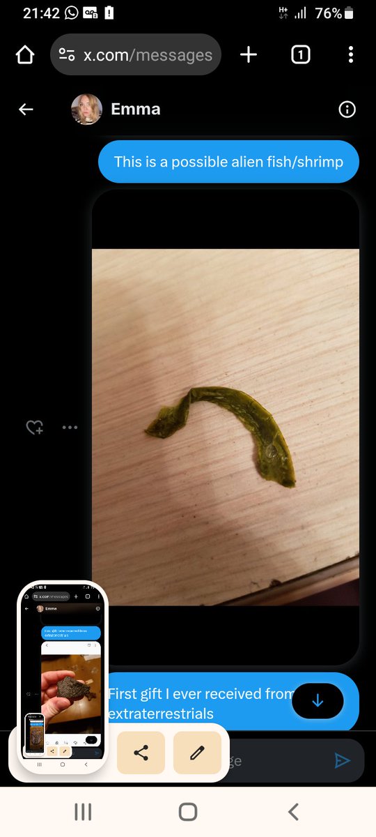 RichardMagill2's tweet photo. @joerogan This is what I found outside my bedroom soon after asking my et bffs to try some of their food. Notice the translucent eye, shrimplike shell. Super tiny. Many years later, it is now a brown color.

Dr. Nolan blocked me after I asked him to help me analyze it.. https://t.co/3aBS59iUM6