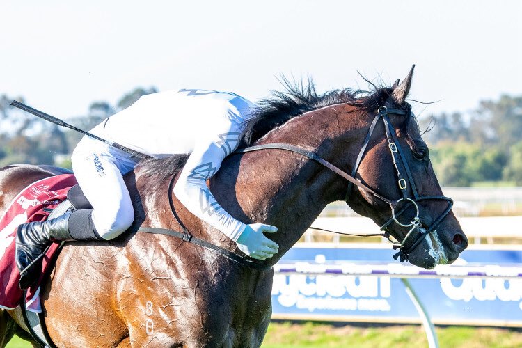 Annabel and Rob Archibald Racing tweet media