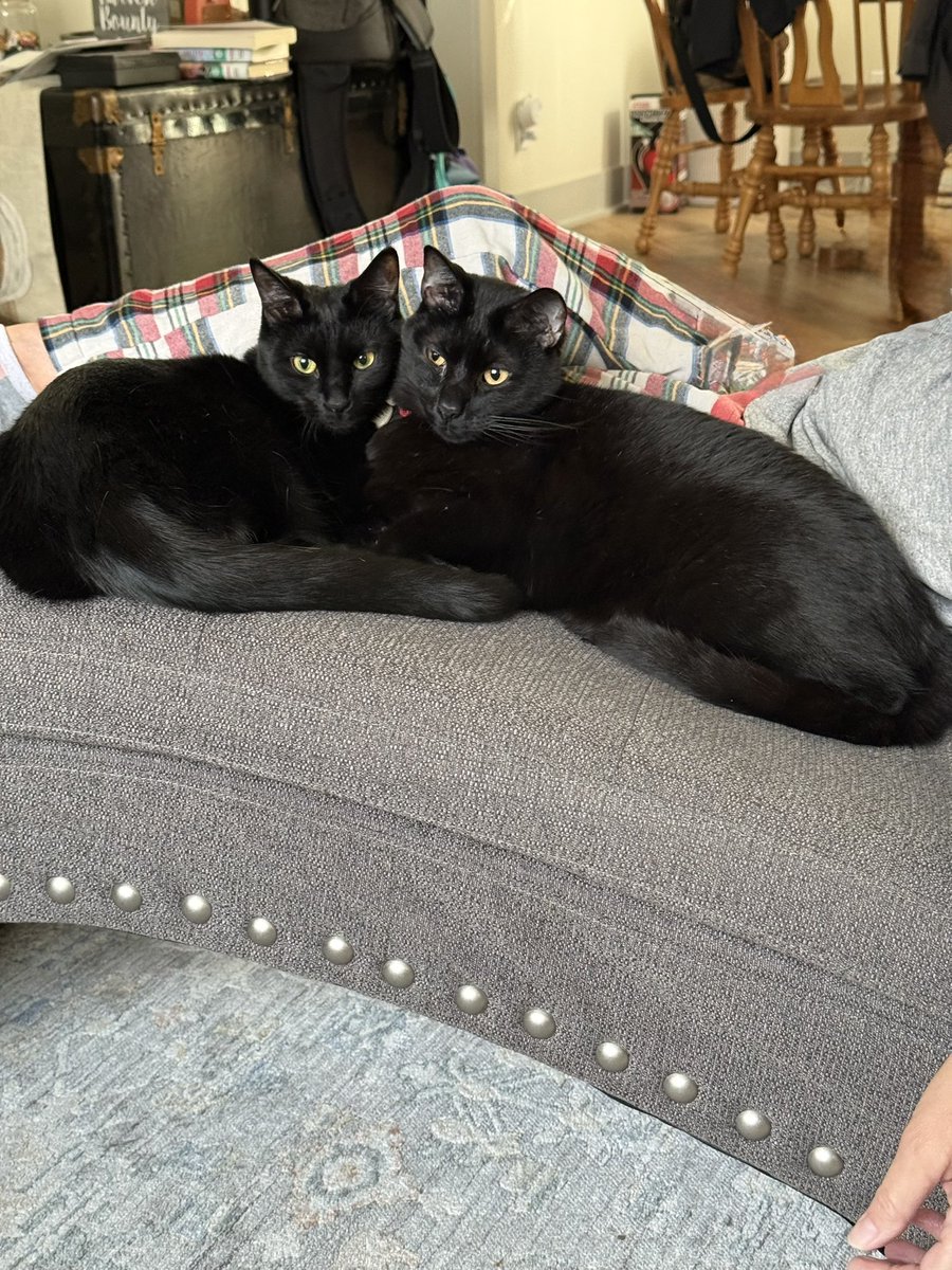 Kyle_j_b 🐧 tweet media