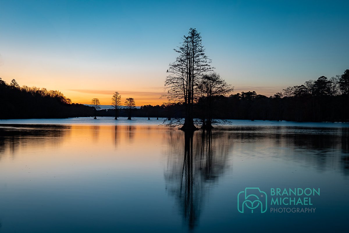 BrandonMH999's tweet photo. Stumpy Lake, Virginia Beach 11/29/25
Chilly morning but at least the wind had calm down. Super pretty lake and flooded with wildlife. I was the first to arrive this morning but once the sun came up a bunch of photographers showed up to captured the birds. 
#landscapephotography https://t.co/R4t2hO64HY