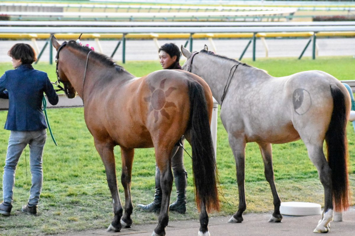 Risashimazaki (@Tezo39919290) / Posts / X