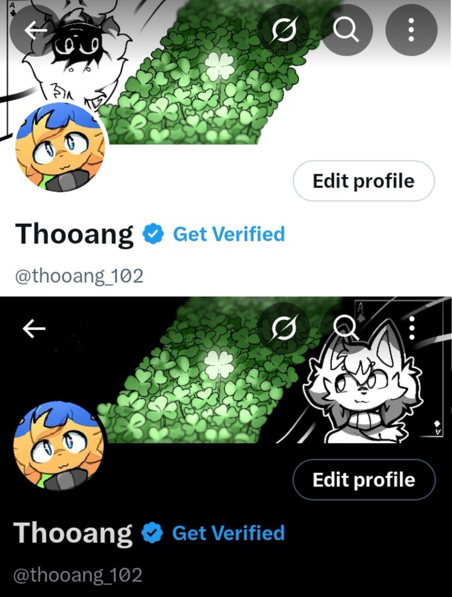 Thooang tweet media