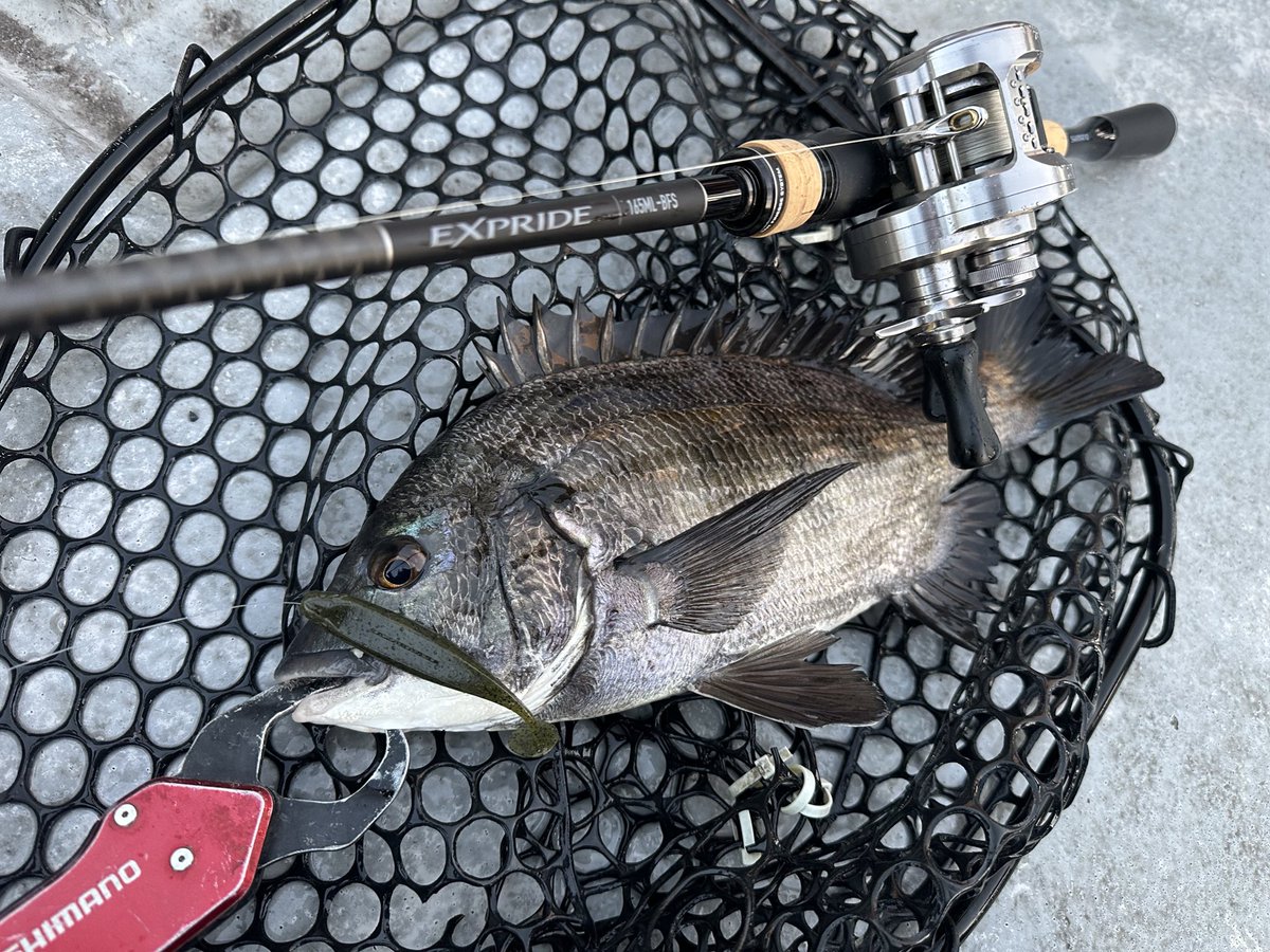 龍岩 朋樹 (@Tatsu_uuuO) / Posts / X