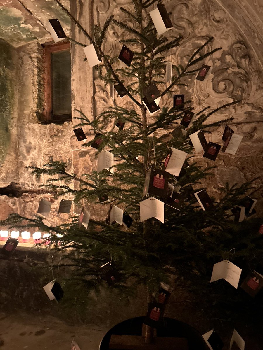 peacearhpn's tweet image. #peacearhpn 🎄💫✨