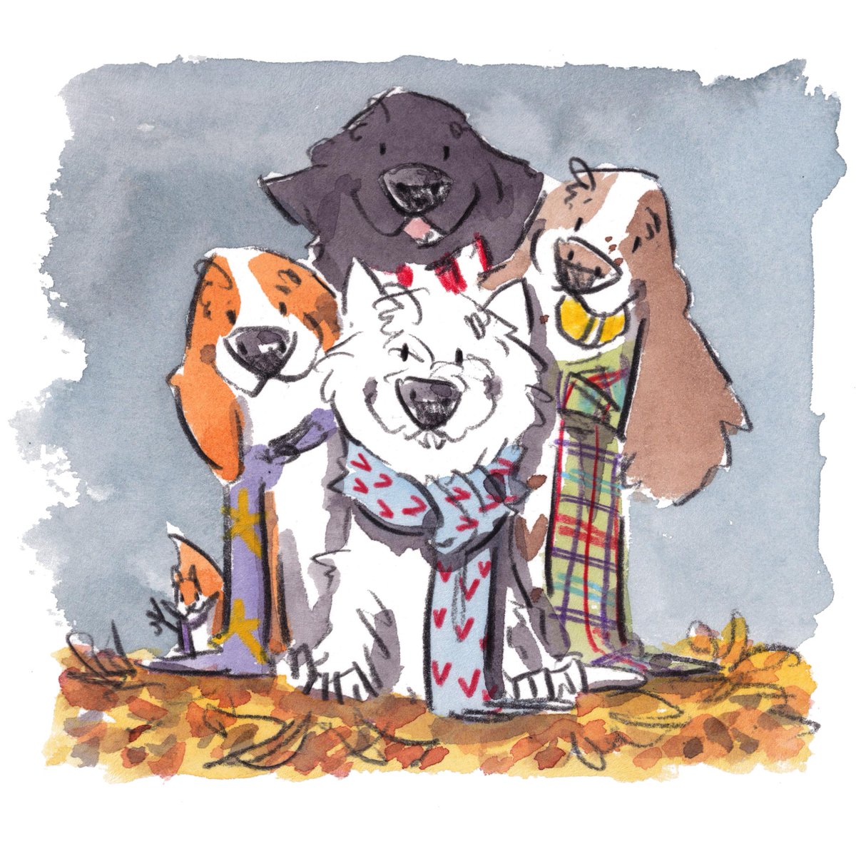 Good night, lovely people and lovely dogs.
The team are sending big smiles your way.
Sleep well and sweet dreams.
I hope that you have a splendid day tomorrow. 
#hoorayfordogs #beagle #labrador #westie #springer #redsquirrel