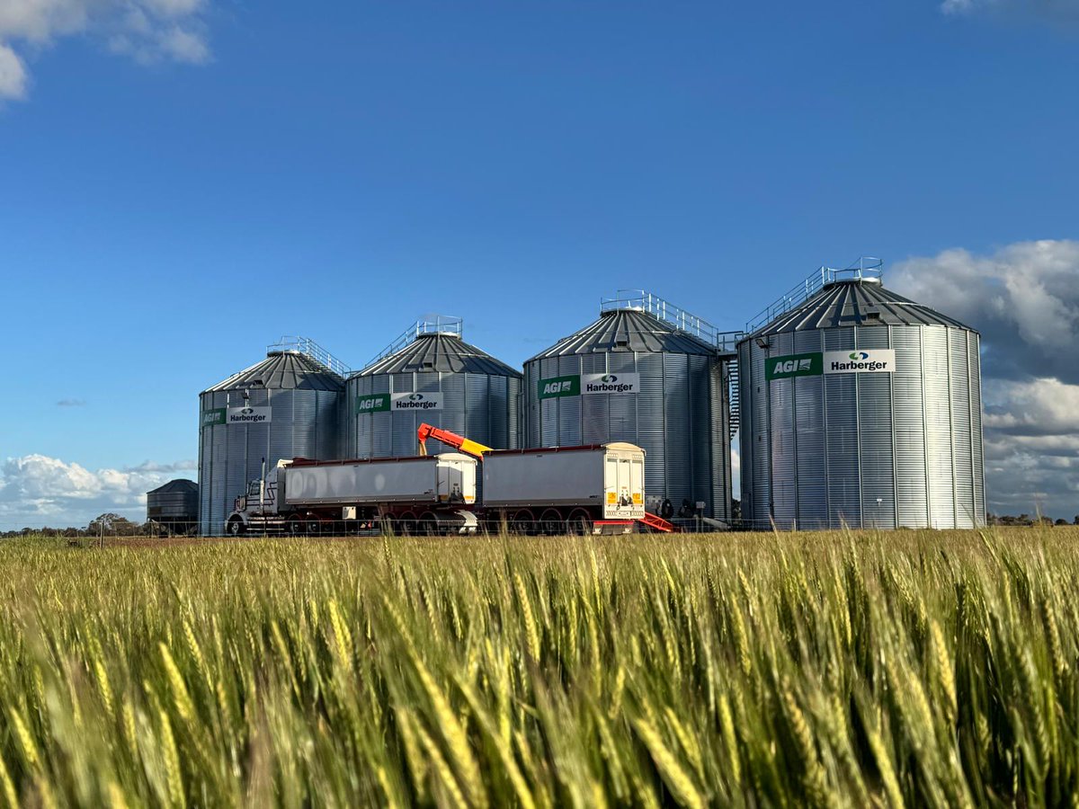 Harberger tweet media