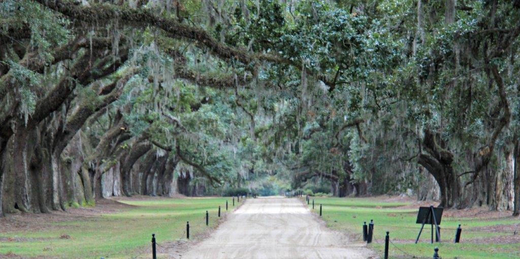 CompassandFork's tweet image. What are the Best Plantations to Visit Near Charleston? bit.ly/2xUSwHH #explorecharleston #charleston #travel #ttot #discoverUSA