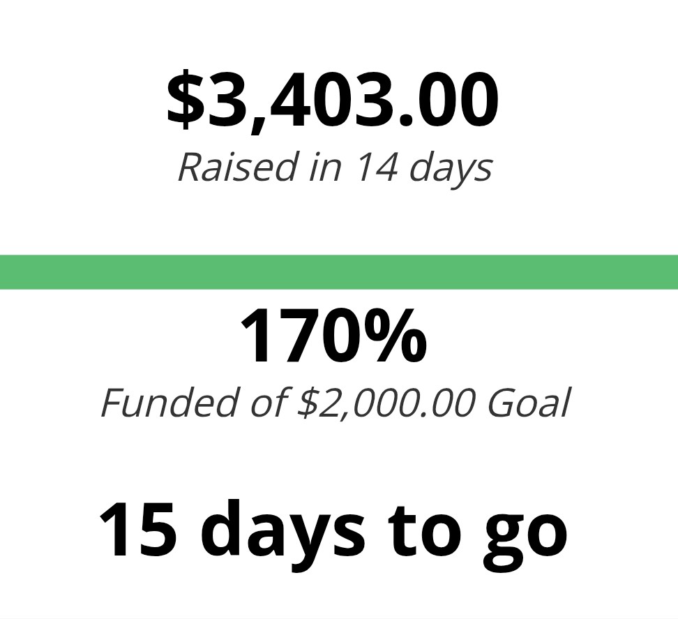 Safeguard: Pandemonium is now 170% funded! That is nuts, thank you all so much! 🥳🔥
You guys are amazing!

15 days left to go! If you enjoy colorful, nineties, action packed superhero adventure comics, we might have something for you! Check it out! 🙏
fundmycomic.com/safeguard