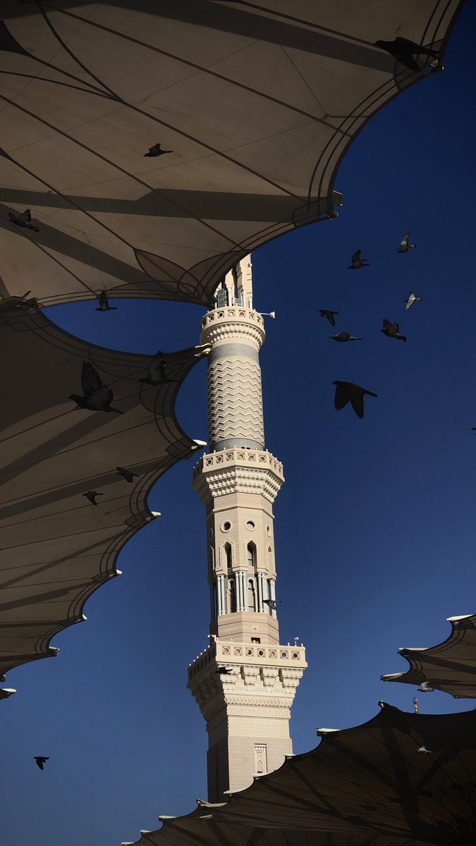 iyasax's tweet photo. أحَب صوري للحرمين 🤍🕋 https://t.co/m2hFhuyLuQ