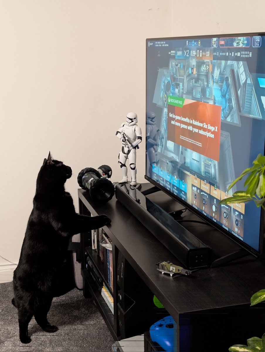 Andarne_'s tweet image. Cat is also invested in this match.

@R6esports you've got a new fan
