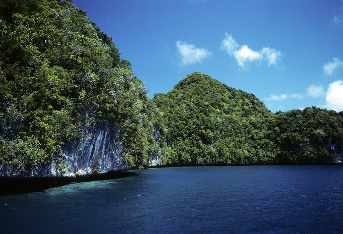 أفضل 5 جزر مثالية للغوص في 2025 لعشاق المغامرة تحت الماء. وجهات ساحرة تجمع بين الشعاب المرجانية النادرة، المياه الصافية، والتجارب التي لا تُنسى 