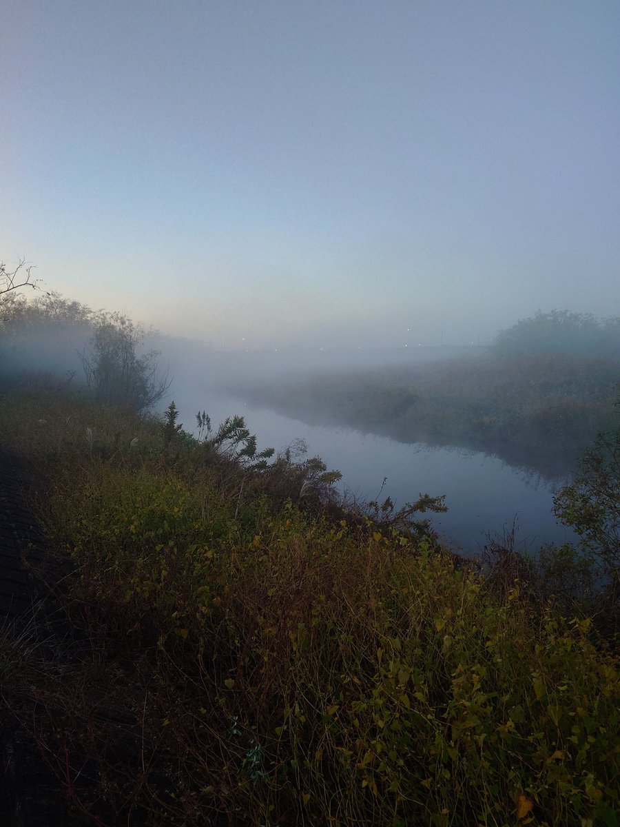 ftafyapm's tweet image. おはようございます☀川散歩🚶‍♀️👣⸒⸒🦉梟が飛び去り対岸で鳴いてる🎶(*´ω｀*)
#自然好き