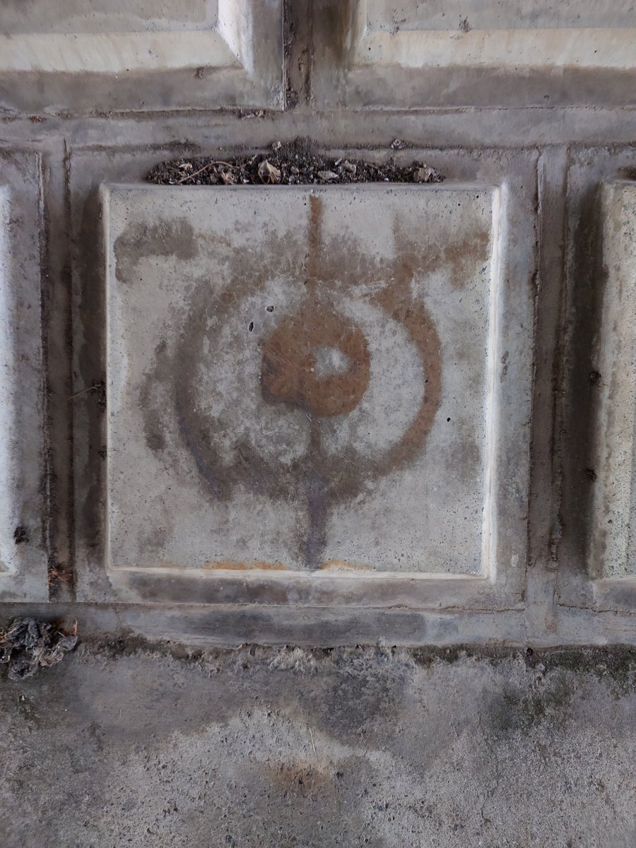 ftafyapm's tweet image. おはようございます☀川散歩🚶‍♀️👣⸒⸒🦉梟が飛び去り対岸で鳴いてる🎶(*´ω｀*)
#自然好き