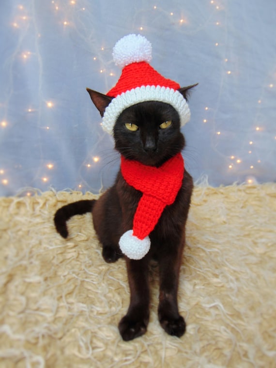 joliemackdotcom's tweet photo. Happy Caturday! Pawsies are busy getting ready for December. There may or may not be Cat Christmas Couture involved. There's a tree to put up, #FuzzyNuts adoptions, #NAFOCatsDivision holiday cards to send and naps to take. Stay Bonky, Fellas 😼🇺🇦 https://t.co/LoMokPHUEt