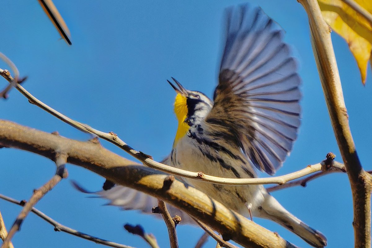 EJ Bartolazo tweet media