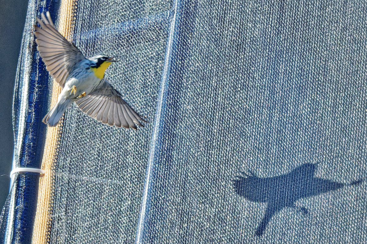 EJ Bartolazo tweet media