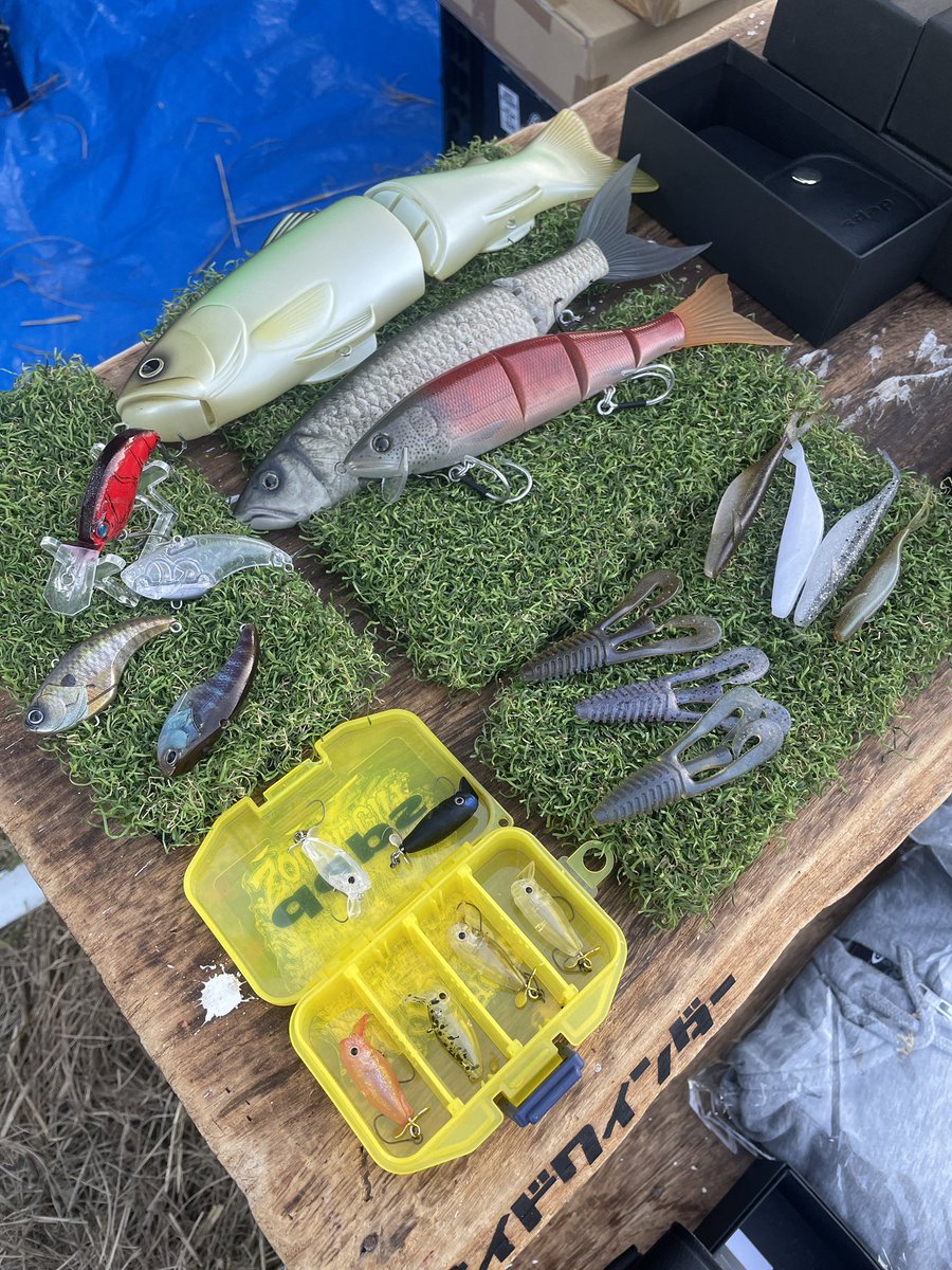 DEPS ビックベイト webメンバー DEPS ビックベイト webメンバー DEPS ビックベイト ウェブメンバー