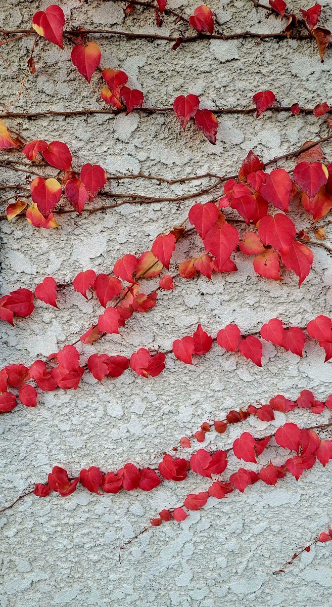 ちゅん (@aebBN6iwx957557) / Posts / X