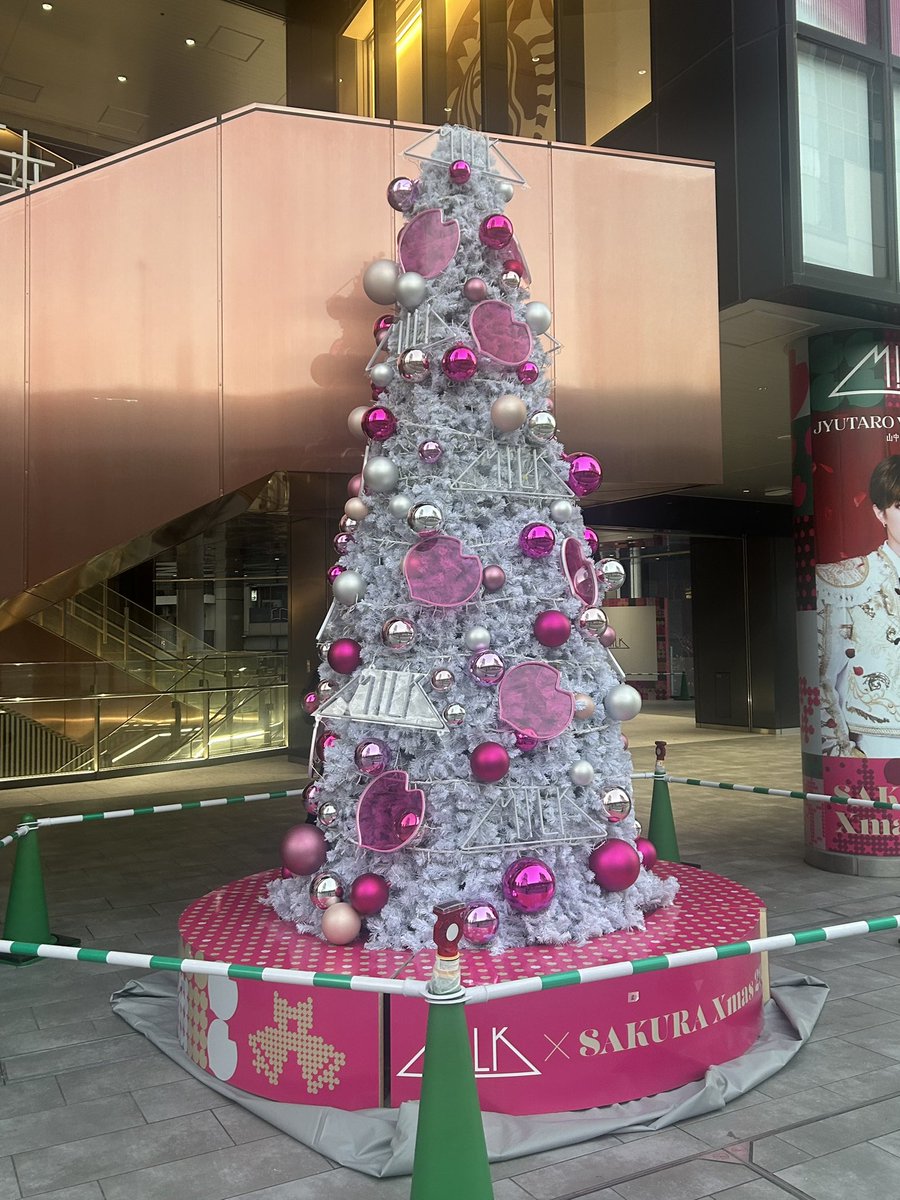 え！？スゴイ！コラボクリスマスツリー！？！？