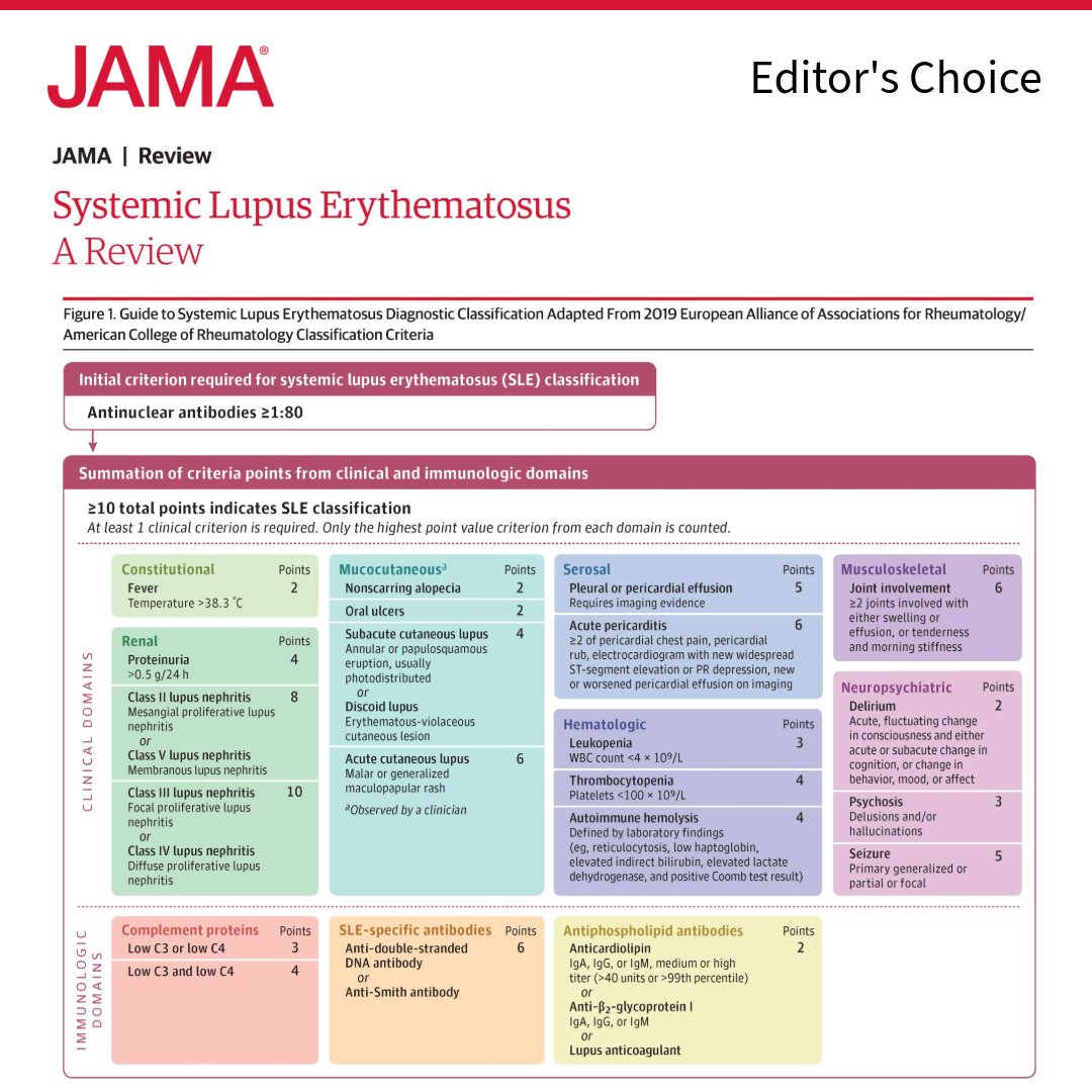 JAMA_current's tweet image. Systemic lupus erythematosus (SLE) is a chronic systemic #autoimmune disease characterized by inflammation and immune-mediated injury to multiple organ systems. This Review summarizes the diagnosis and treatment of SLE.

🔖 Bookmark it for your citations: ja.ma/4oVLWXA
