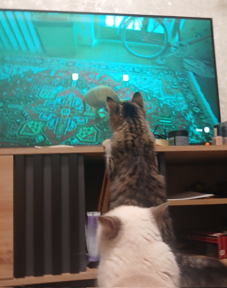 Айпад-кіт 2 штука